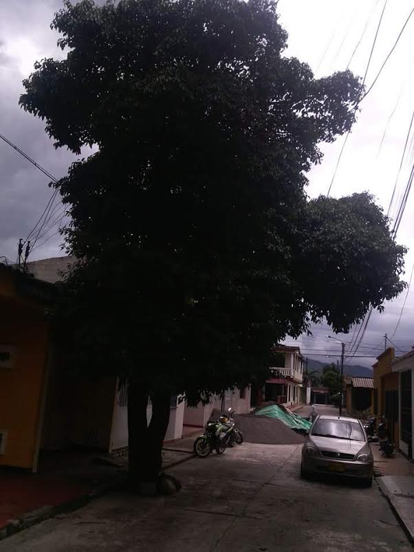 Nunca antes visto en Villavicencio