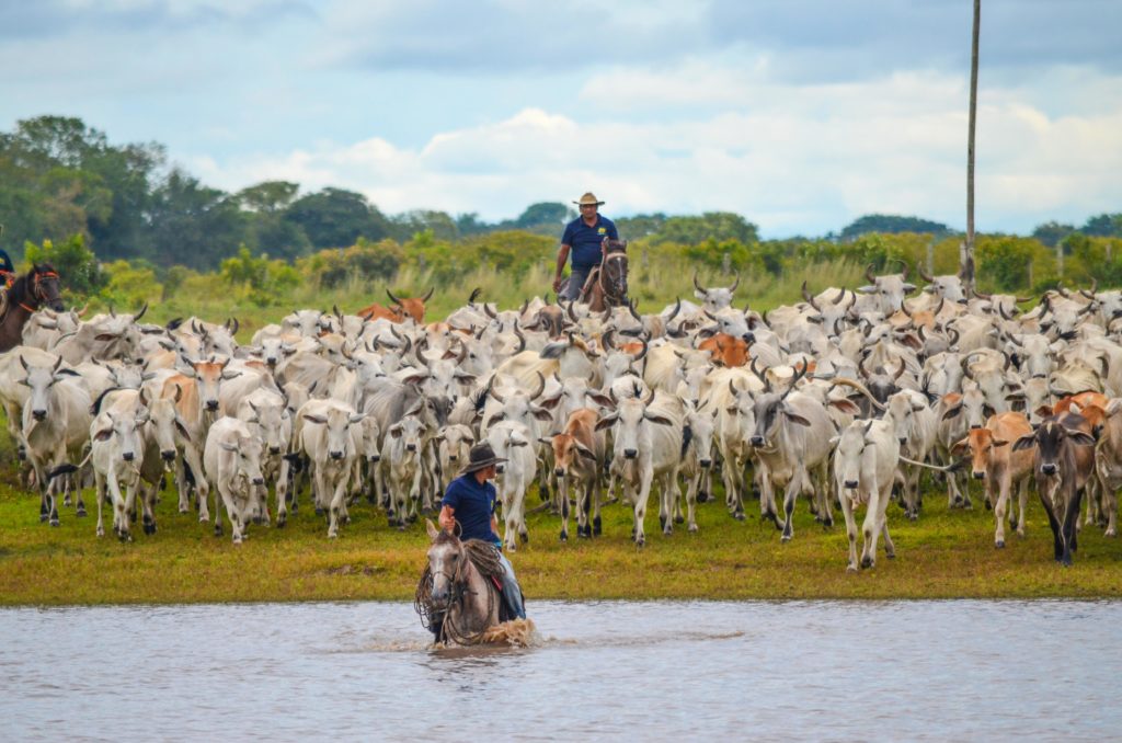 tour por el llano colombiano